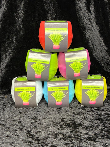 Mom’s Indoor Cat Organic Cat Grass Growing Kit