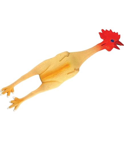 Large Squeaky Chicken
