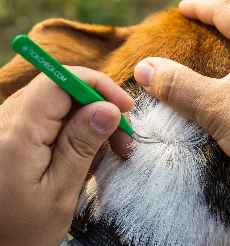 TickCheck Premium Tick Remover Set