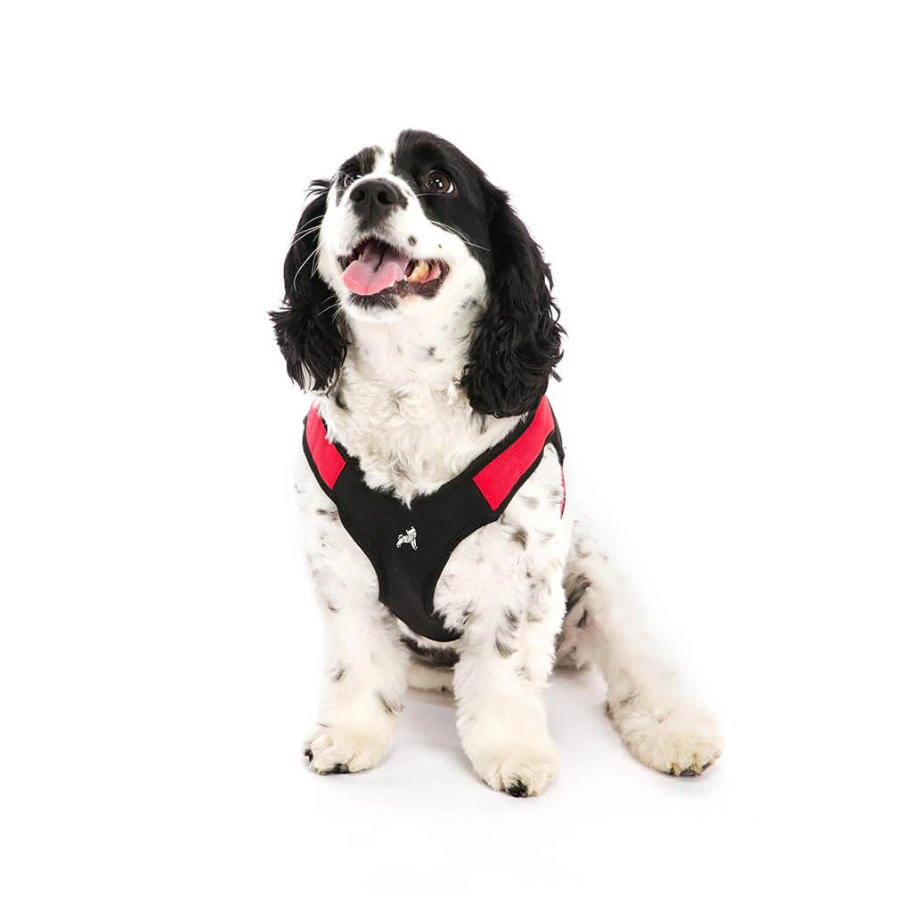 Gooby - Escape Free Memory Foam Harness