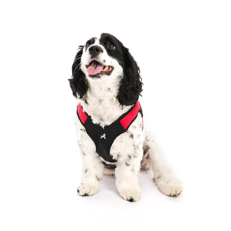 Gooby Escape Free Memory Foam Dog Harness