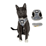 "The True Adventurer" Reflective Cat & Kitten Harness and Leash