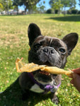 Fish Maw (Single Ingredient Chew)