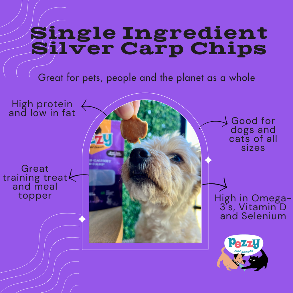 Silver Carp Chips (Single Ingredient Dog & Cat Treats)