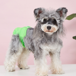 Pet Food Culture Washable Dog Sanitary Pants