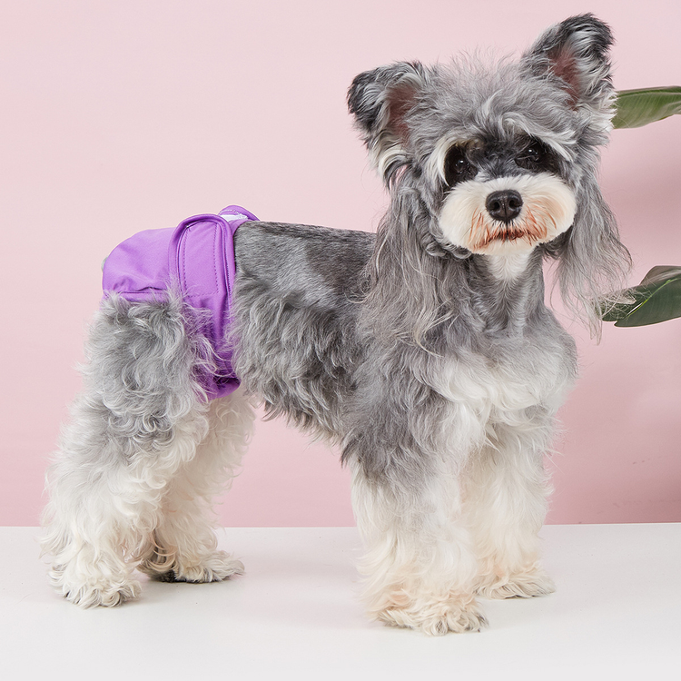 Pet Food Culture Washable Dog Sanitary Pants