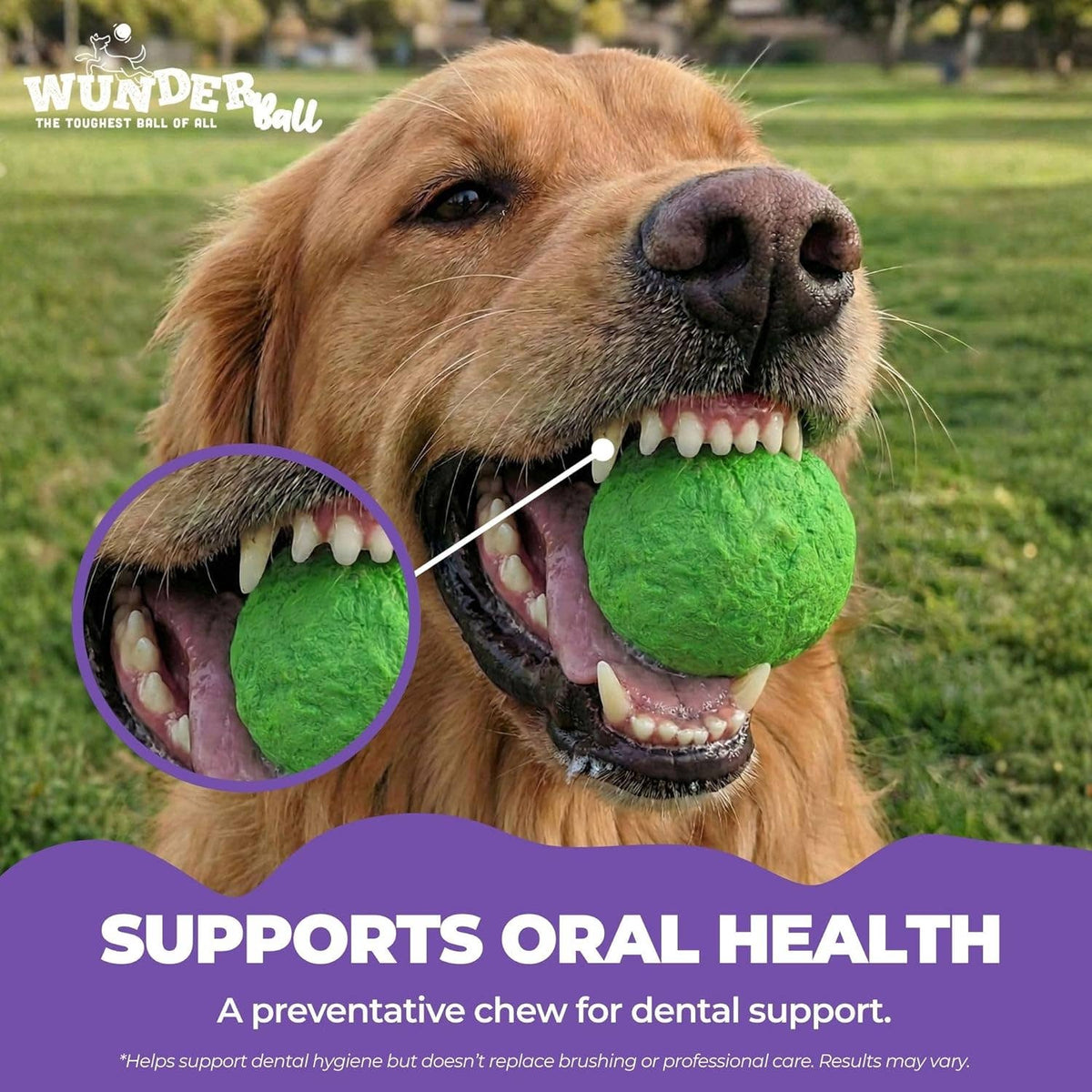 WUNDERball Medium Dog Toy Refill – 12 Pack
