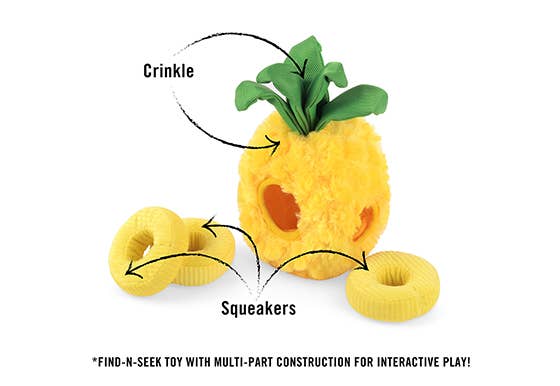 Tropical Paradise_Paws Up Pineapple