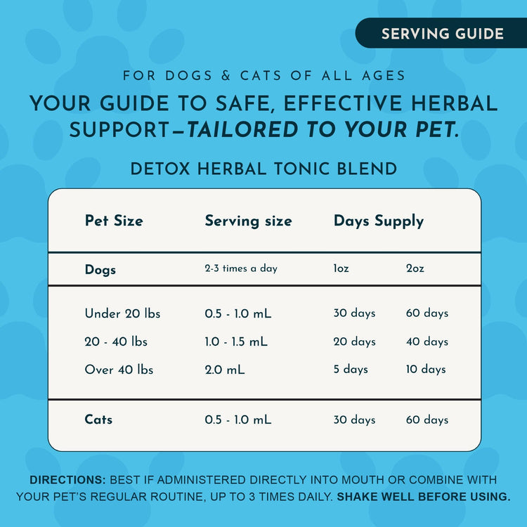 Detox Herbal Tonic Blend | Support Normal Liver Detoxification