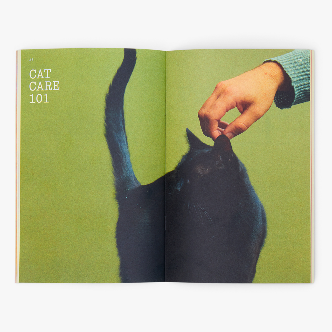 Cat Parenthood Zine