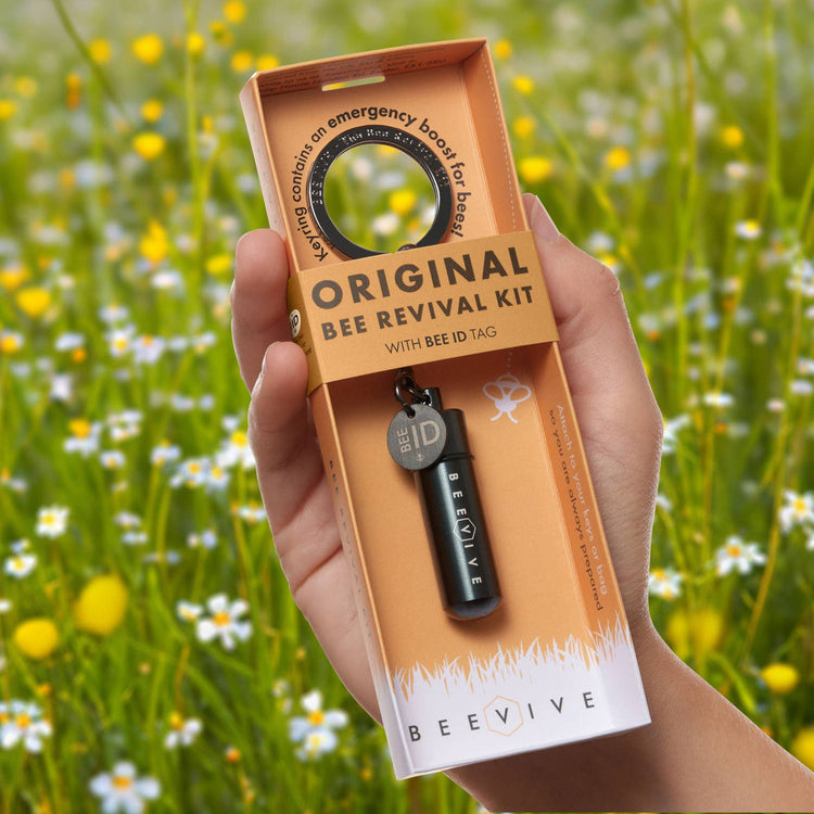 Beevive Original Bee Revival Kit with Bee ID Tag