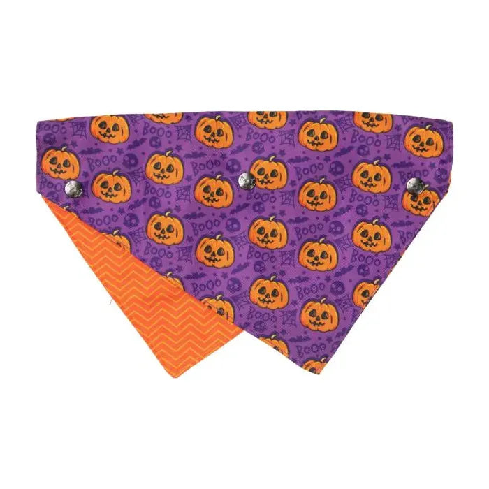 FuzzYard Jack O’Lantern Pet Bandana