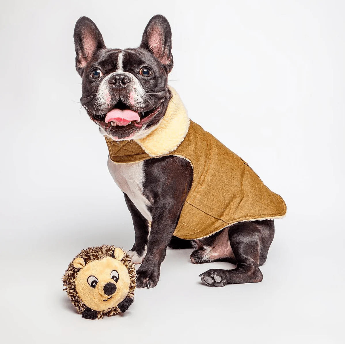 Hedgehog Faball by Fabdog