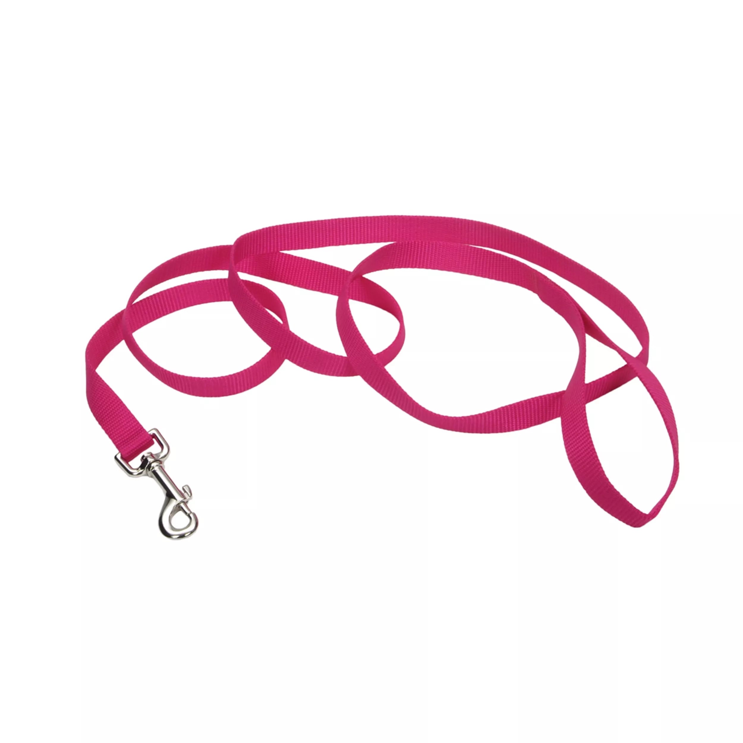 Coastal Pet Nylon Leash