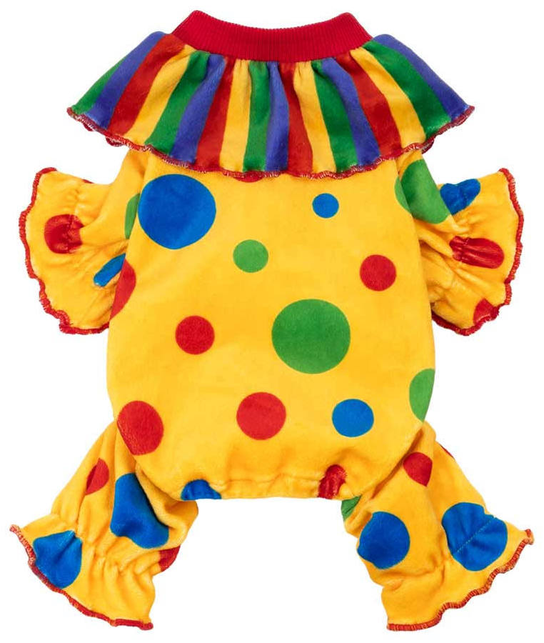 Colorful Clown Dog Costume with Rainbow Wig