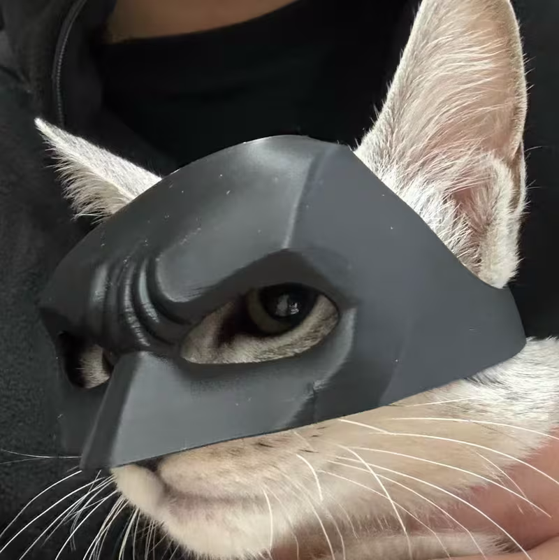 Batman & Joker Pet Costume Masks
