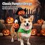 Pumpkin Witch Rider Dog Costume
