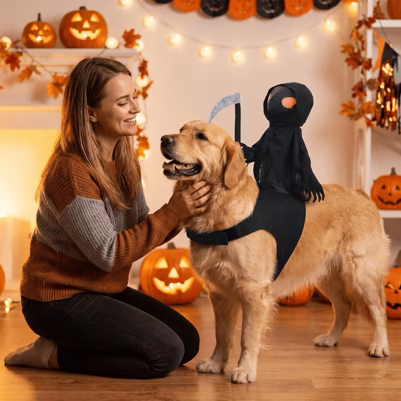 Grim Reaper Rider Dog Costume with Scythe