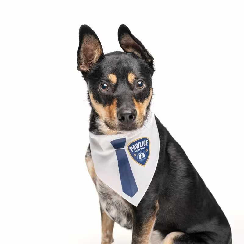 “Pawlice Department” Pet Bandana with Officer Tie