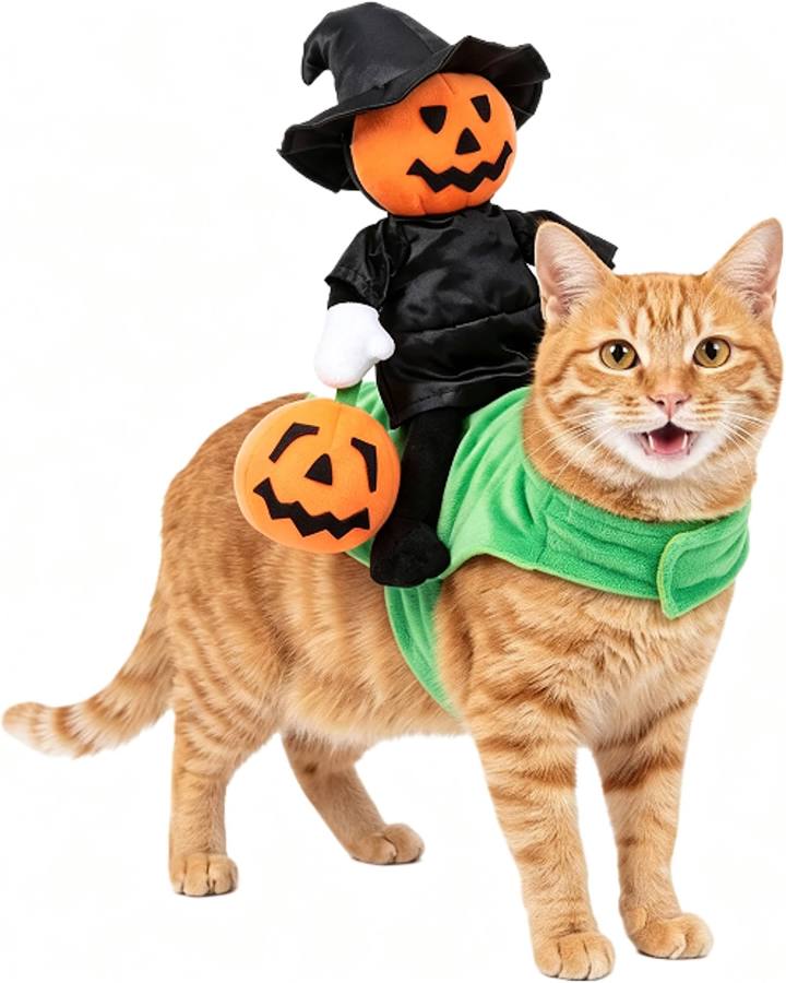 Pumpkin Witch Rider Dog Costume