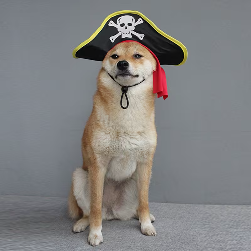 Halloween Pet Costume Hat & Scarf Sets
