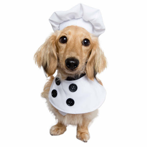 Chef Dog Costume with Hat and Buttoned Coat