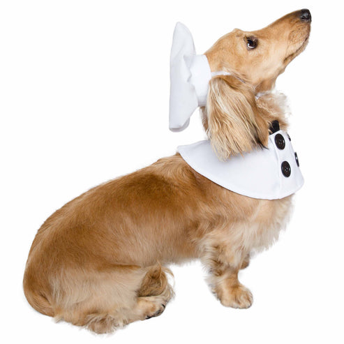 Chef Dog Costume with Hat and Buttoned Coat