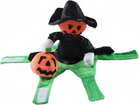 Pumpkin Witch Rider Dog Costume