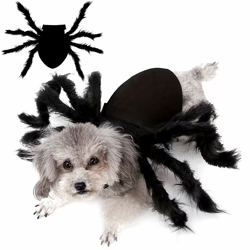 Spider Halloween Costume for Pets
