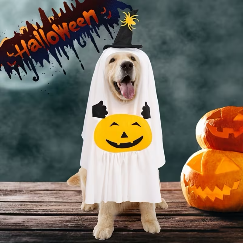 Ghost Witch Pet Costume with Pumpkin and Spider Hat