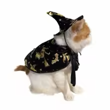 Black and Gold Wizard Pet Costume with Hat and Cape