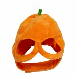 Pumpkin Pet Hood Costume with Green Stem