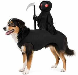 Grim Reaper Rider Dog Costume with Scythe