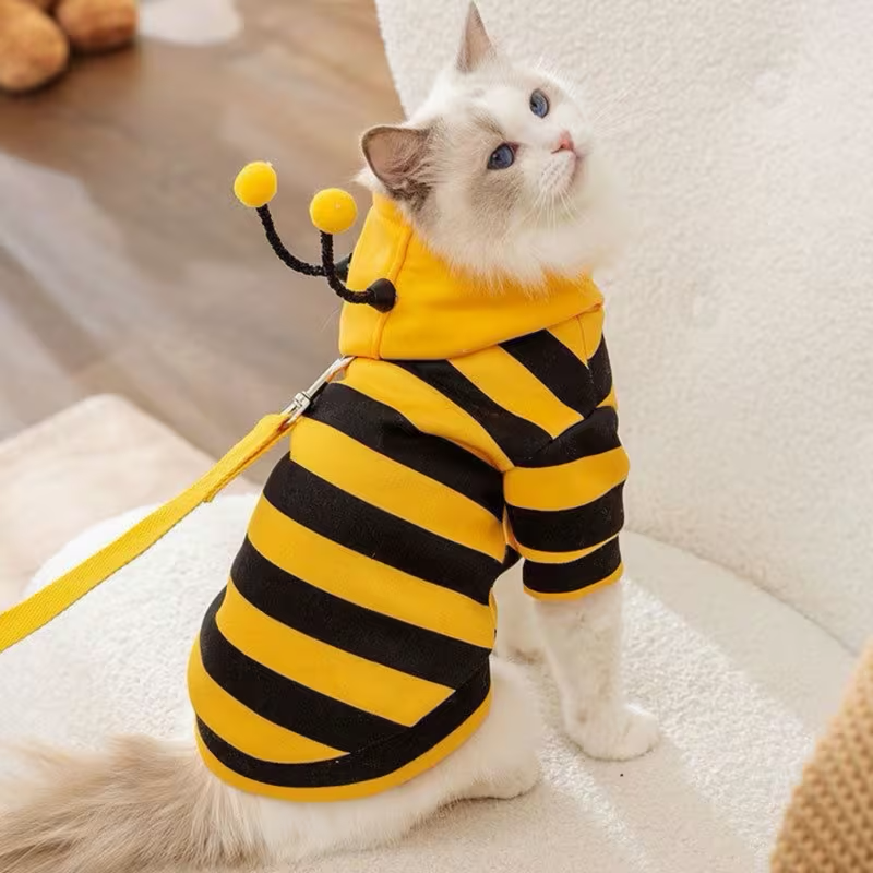 Bumblebee Dog Hoodie Costume with Antennae