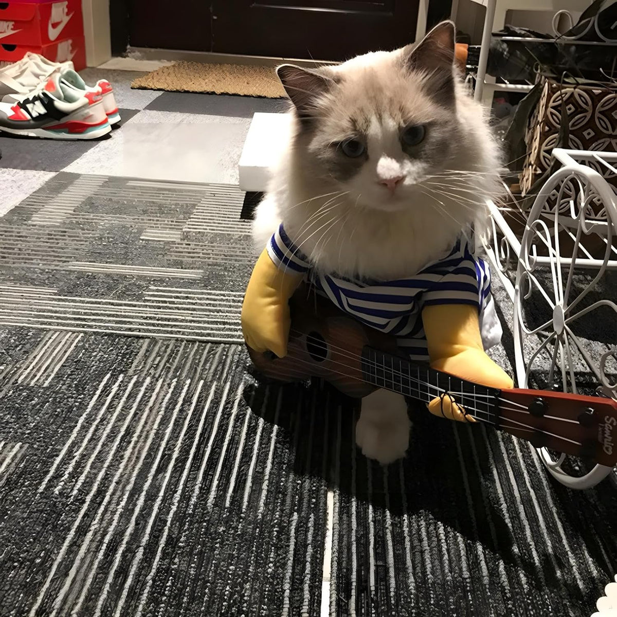 Guitar Costume for Dogs