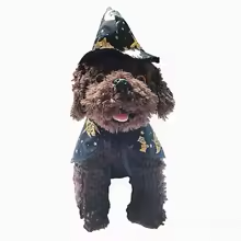 Black and Gold Wizard Pet Costume with Hat and Cape