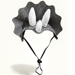 Triceratops Costume Hat for Pets