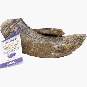 Icelandic+ Lamb Horn