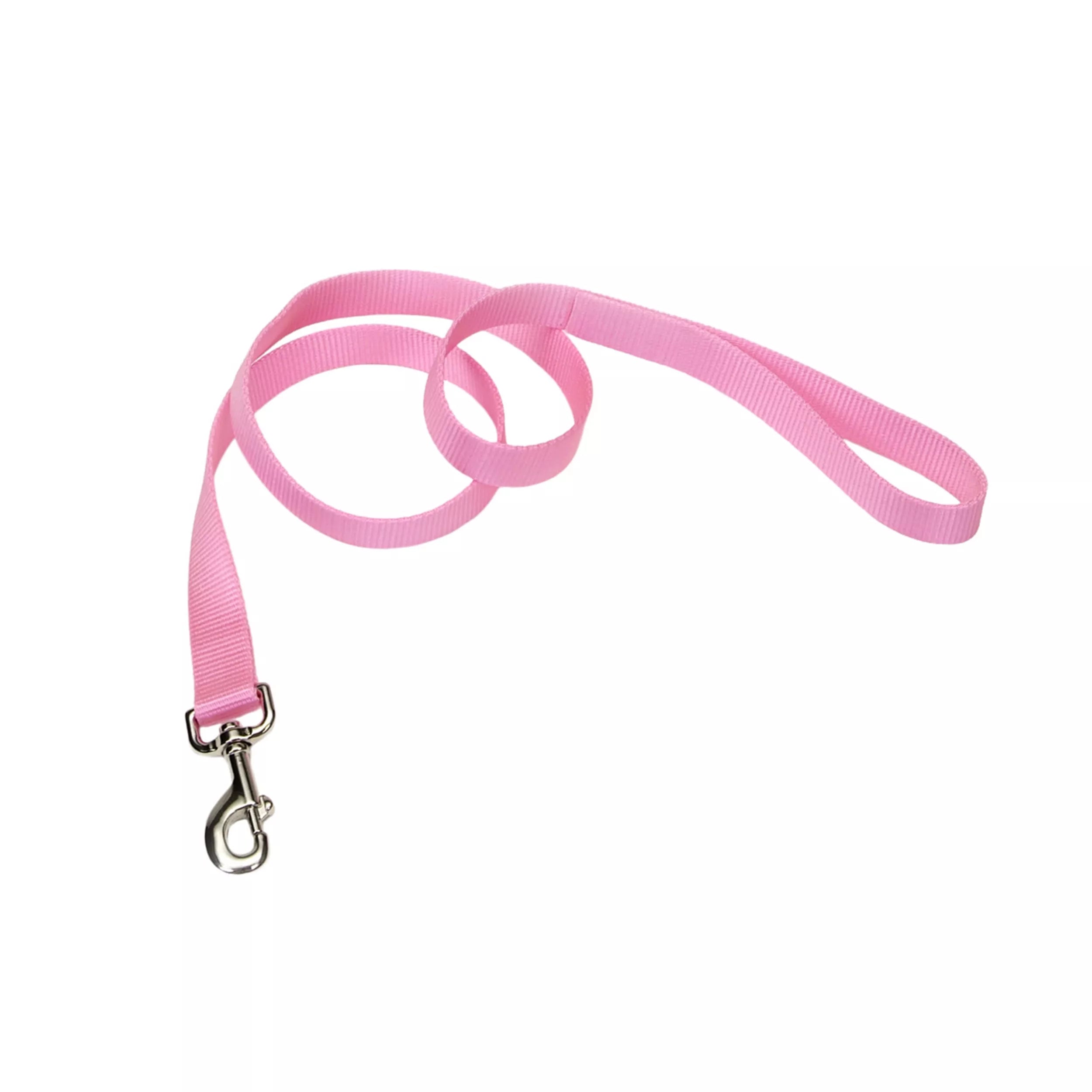 Coastal Pet Nylon Leash