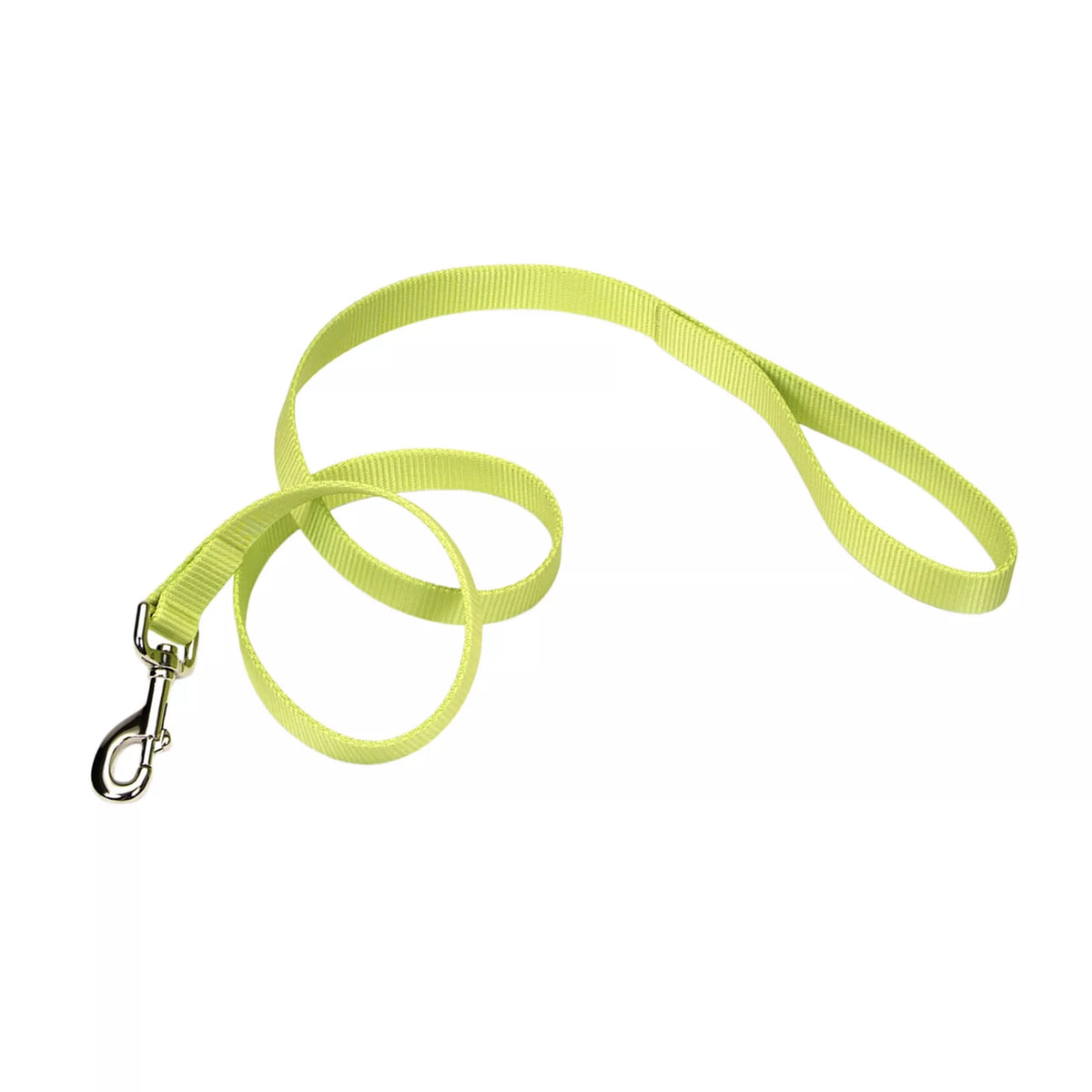 Coastal Pet Nylon Leash