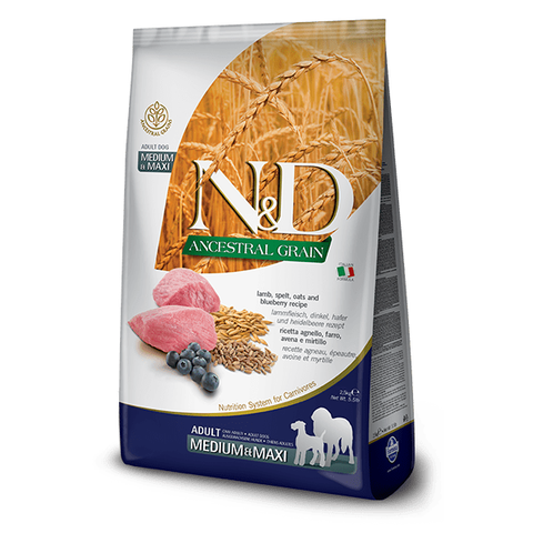 nd-ancestral-adult-medium-maxi-lamb-spelt-blueberry