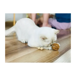 Nutties Coconut Husk Ball for Cats
