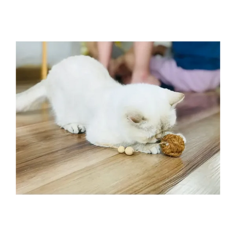 Nutties Coconut Husk Ball for Cats