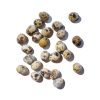 Savage Cat Frozen Quail Eggs - Treats For Dogs & Cats