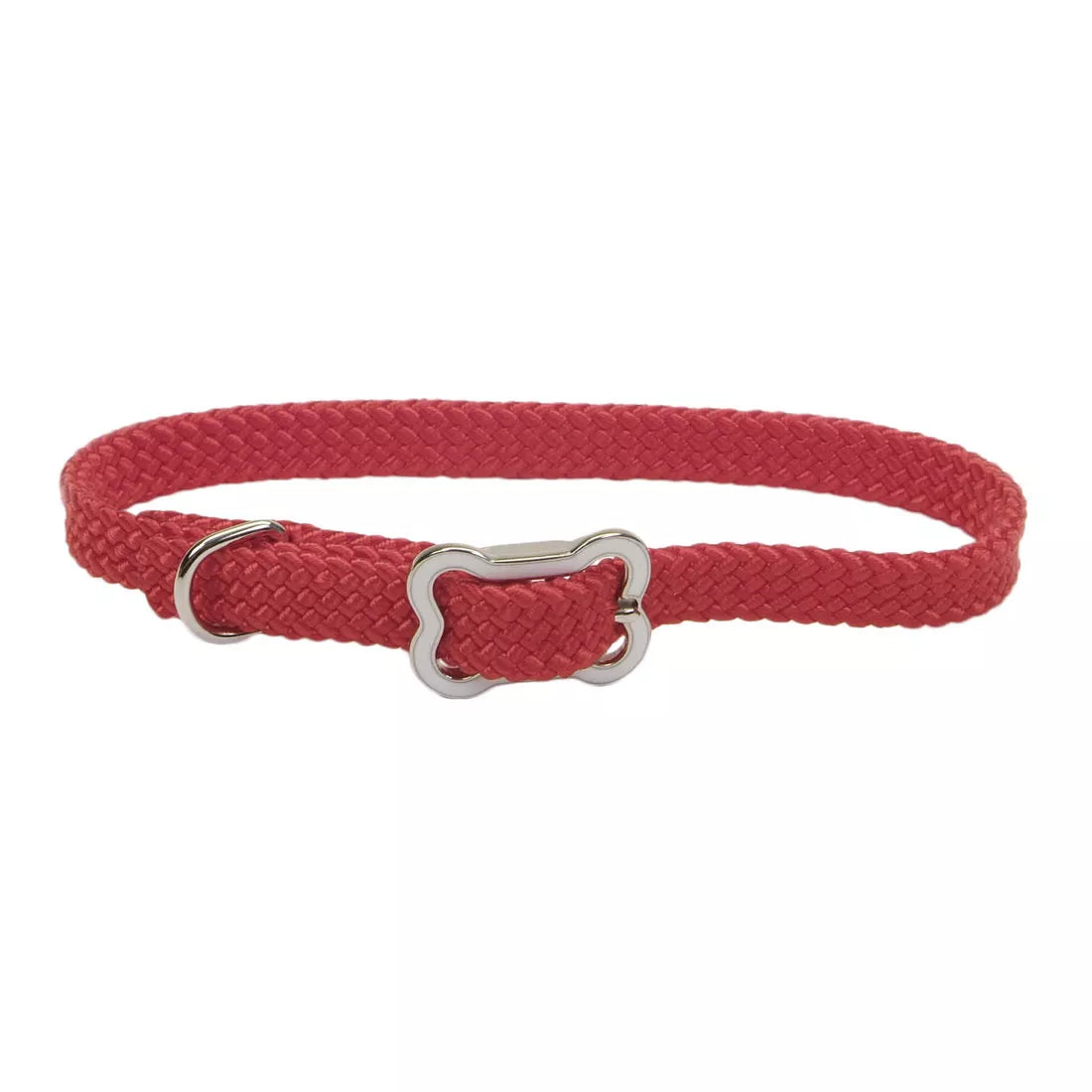 Coastal Pet Sunburst Collar