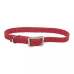 Coastal Pet Sunburst Collar