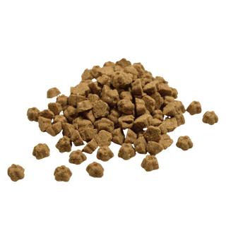Lotus Chicken & Brown Rice Recipe Dry Dog Food for Senior Dogs – 5 lb Bag