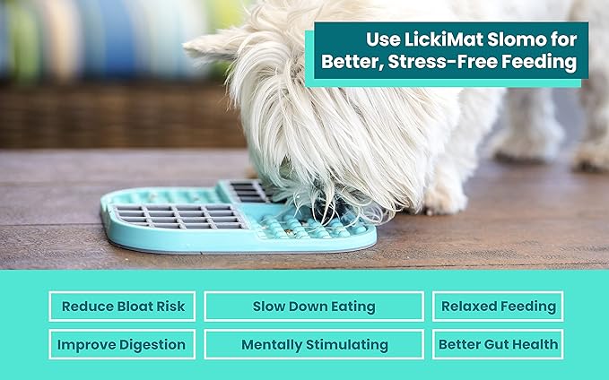 LickiMat Slomo Dog Slow Feeder