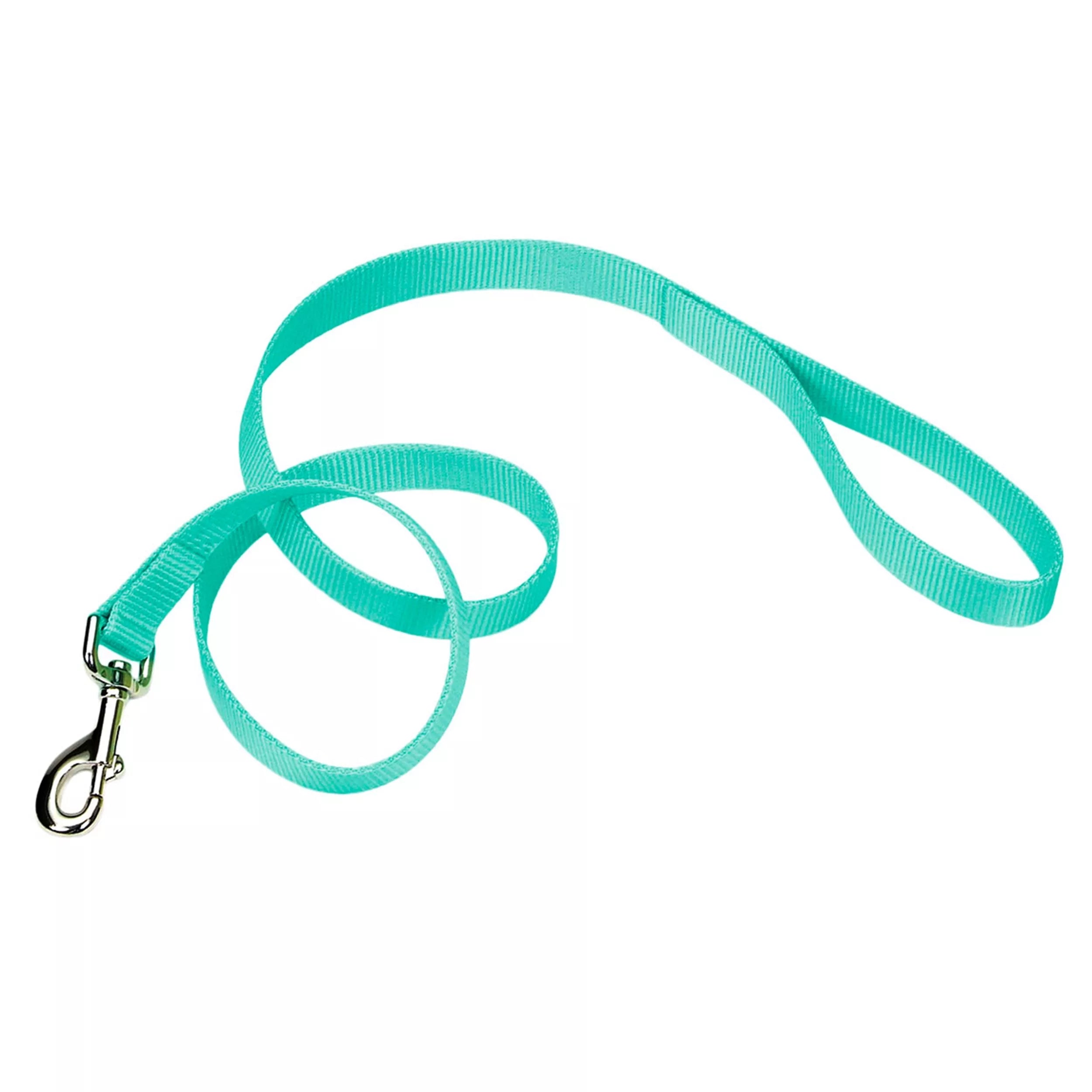 Coastal Pet Nylon Leash
