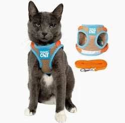 "The Oasis" Cat Harness & Leash Set | Travel Cat